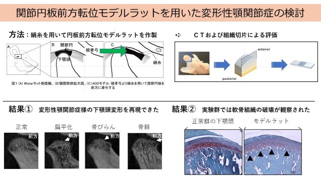 歯科矯正学 歯科矯正学 | 広島大学